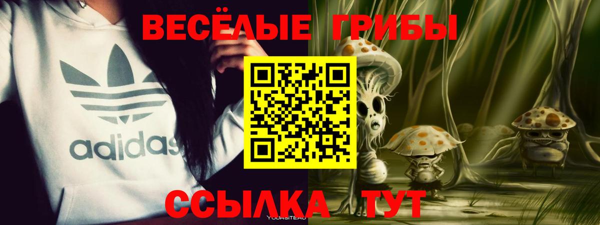 Псилоцибиновые грибы Magic Shrooms Нягань