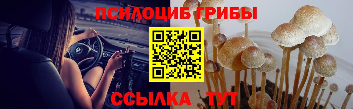 Галлюциногенные грибы Magic Shrooms  Вход с VPN  Галлюциногенные грибы Magic Shrooms  Нягань 
